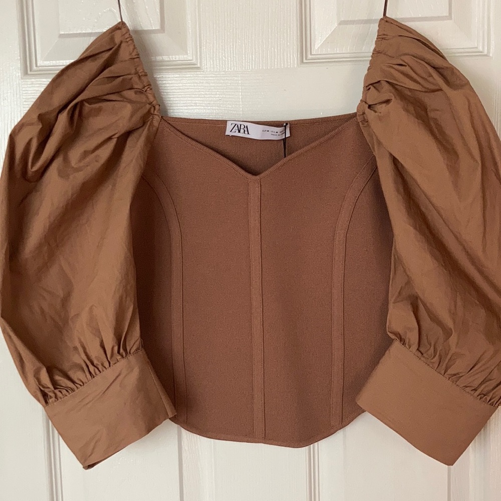 Sold Out Brown Zara Puff Sleeve Top